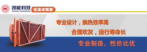 低溫省煤器專(zhuān)業(yè)設(shè)計(jì)制造廠家