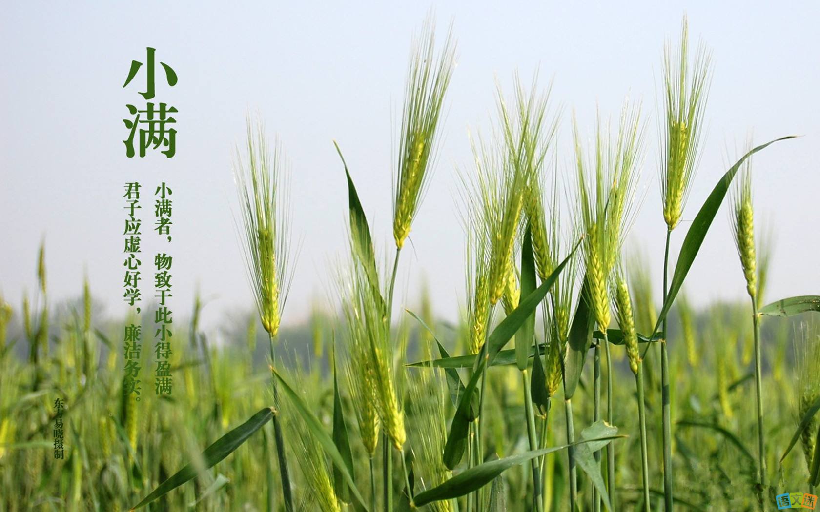 小滿剛過，凱能科技溫馨提醒：夏天來咯