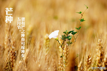 芒種打雷年成好，節(jié)能環(huán)保凱能強(qiáng)