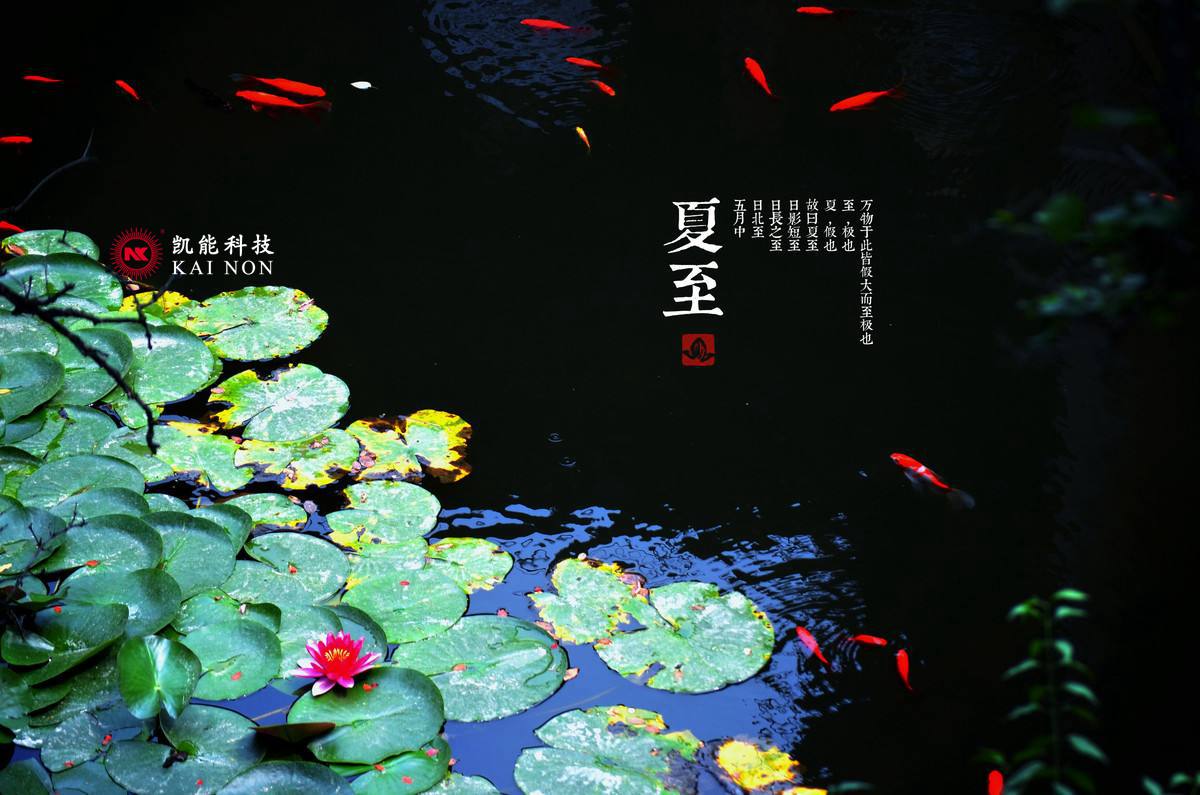 凱能科技溫馨提示：夏至已至，養(yǎng)生吃苦