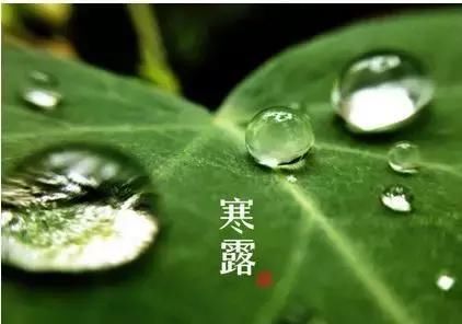裊裊涼風(fēng)動(dòng)，凄凄寒露零丨凱能科技提醒：今日寒露